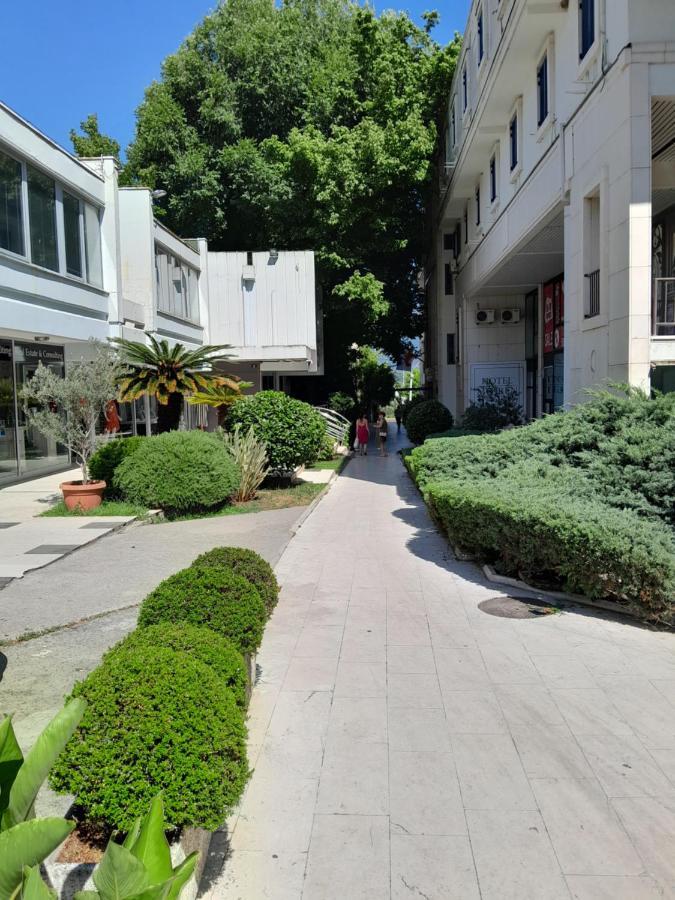 Guest house Lumiere Budva